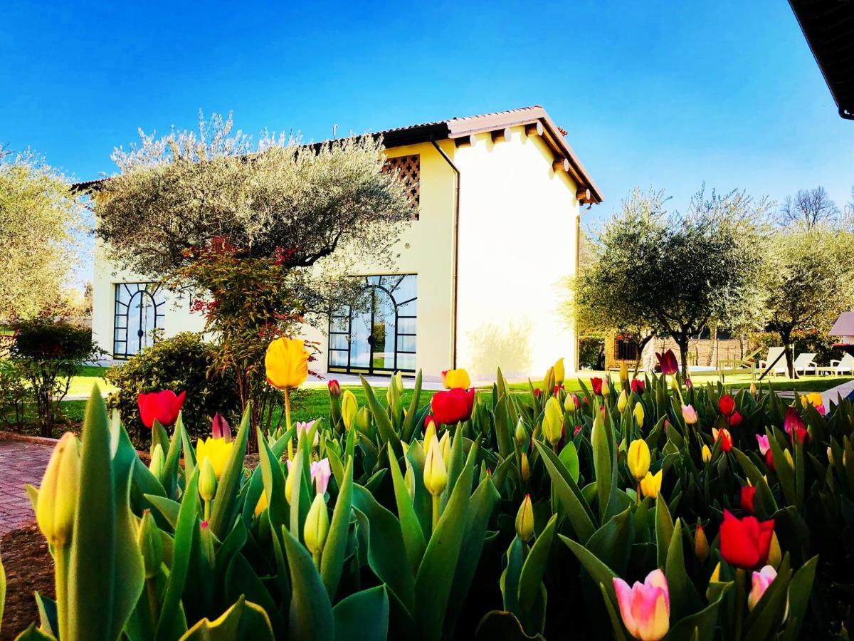 Agriturismo Bitturelli Понти-суль-Минчо Экстерьер фото